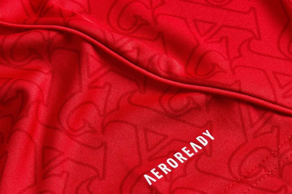 Arsenal Home Jersey 2025/26